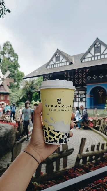 Susu Dari Farmhouse Lembang